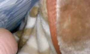 الكاميرا الخفية تحولت الساقين مقاطع اجنبي سكس في الفندق